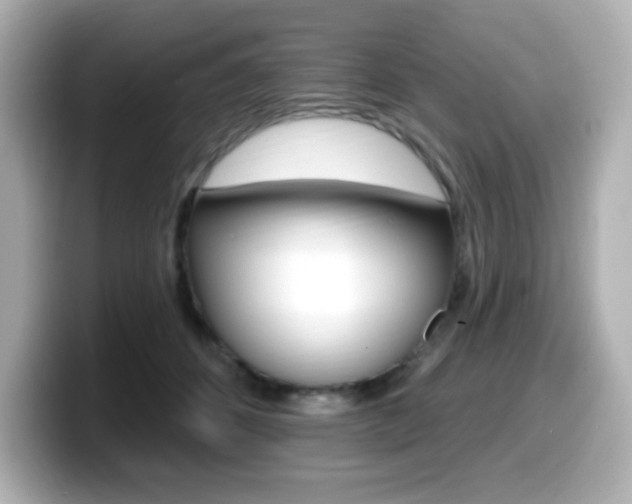 X0000099380512200805081202