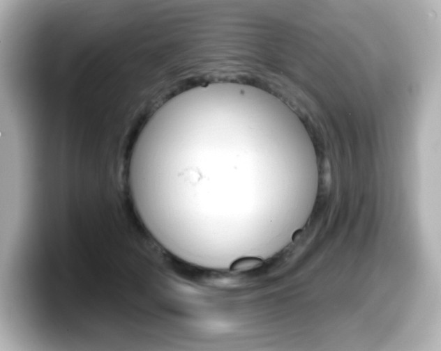 X0000099380514200805081202