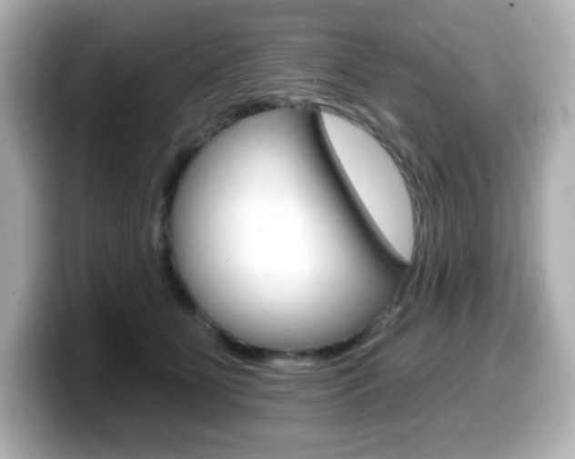 X0000099380515200805081202
