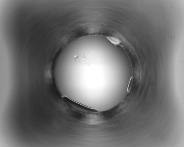 X0000099380516200805081202