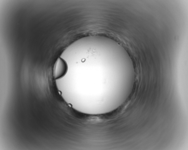 X0000099380519200805081202
