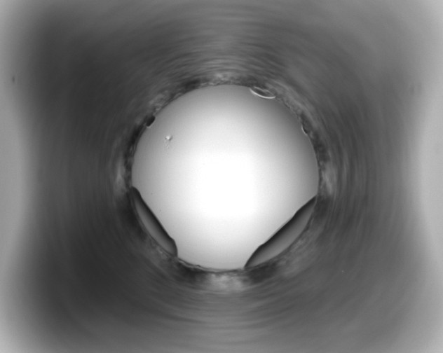 X0000099380520200805081202