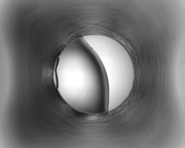 X0000099380521200805081202