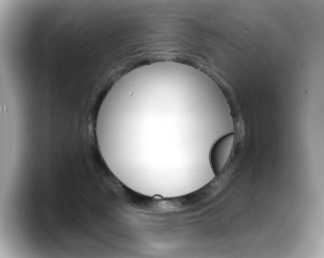 X0000099380522200805081202