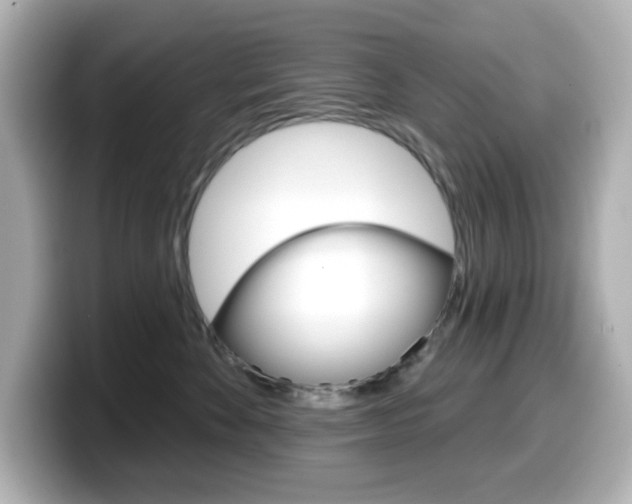 X0000099380524200805081202