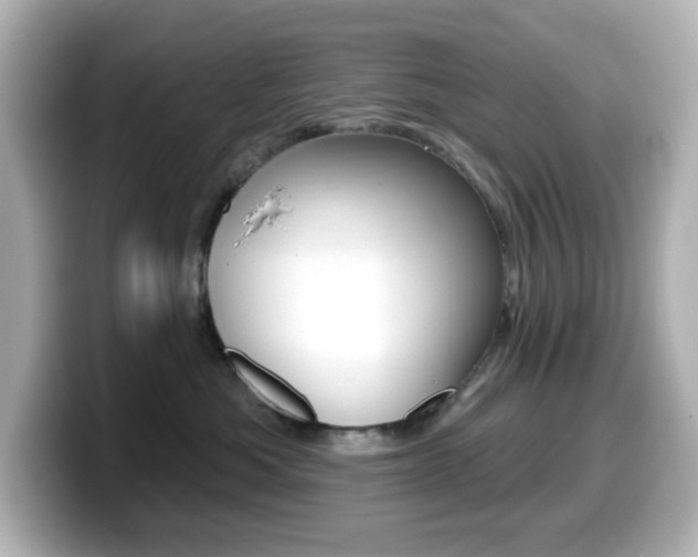 X0000099380525200805081202