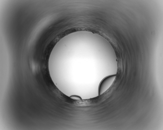 X0000099380526200805081202