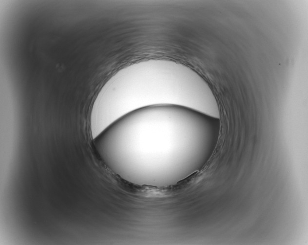 X0000099380528200805081202