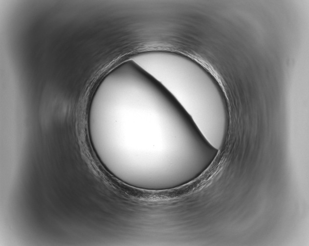 X0000099380529200805081201