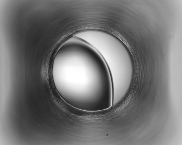 X0000099380530200805081201