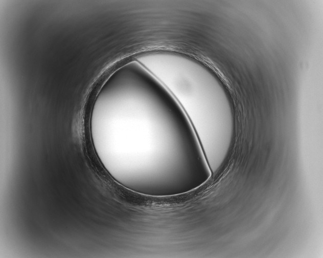 X0000099380531200805081201