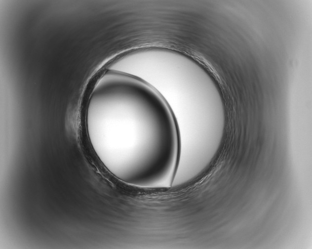 X0000099380532200805081201