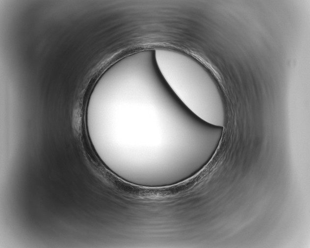 X0000099380533200805081201
