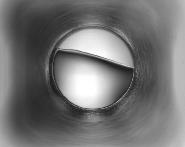 X0000099380535200805081201