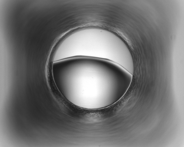 X0000099380536200805081201