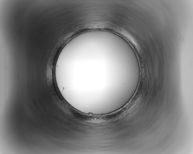 X0000099380537200805081201