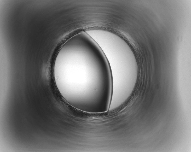 X0000099380540200805081201