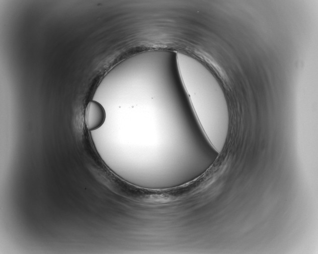 X0000099380541200805081201