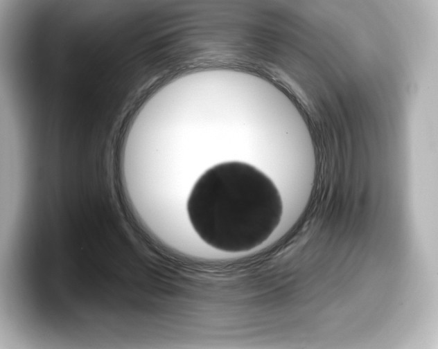 X0000099380542200805081201