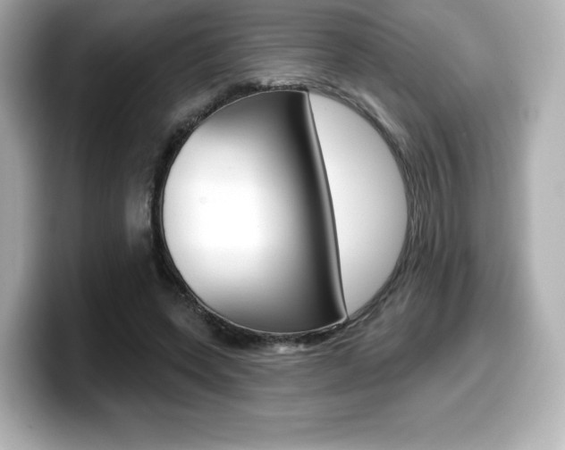 X0000099380543200805081201