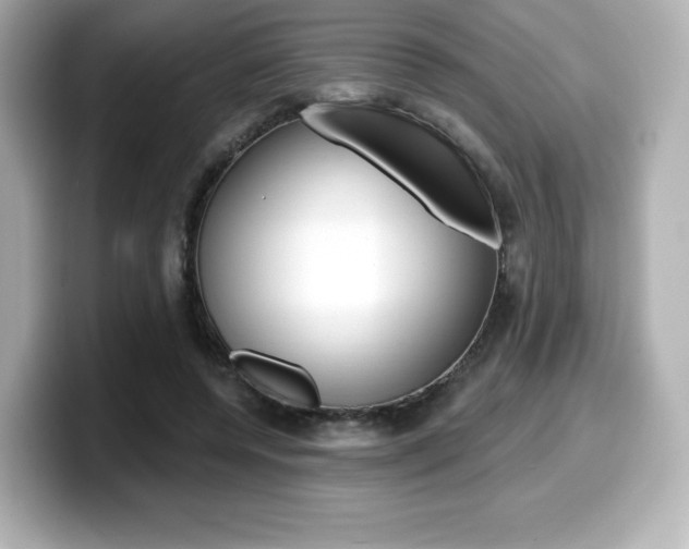 X0000099380544200805081201
