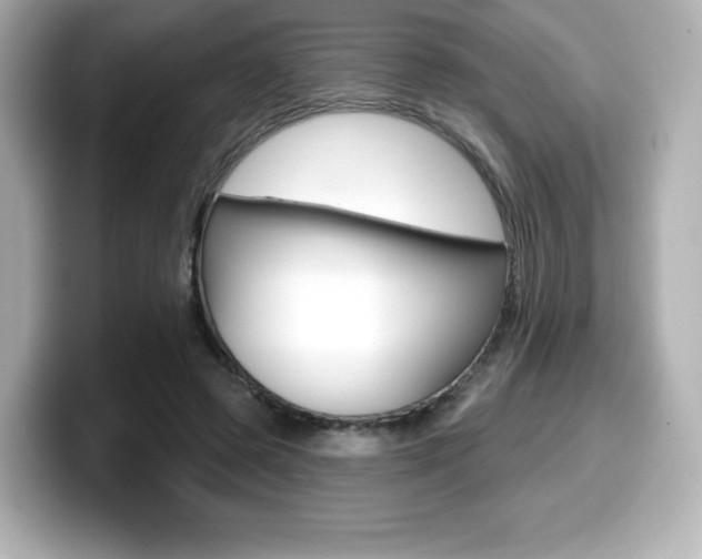 X0000099380545200805081201