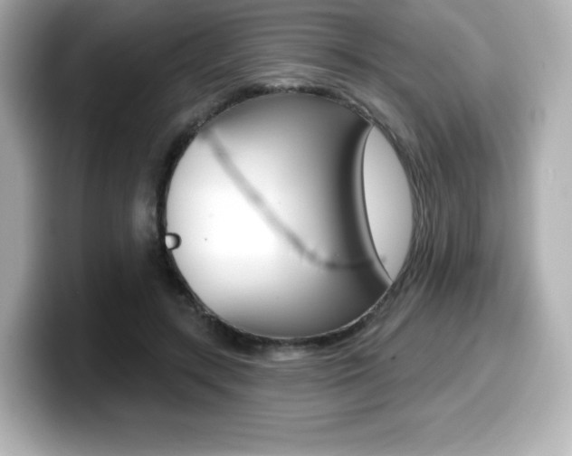 X0000099380547200805081201