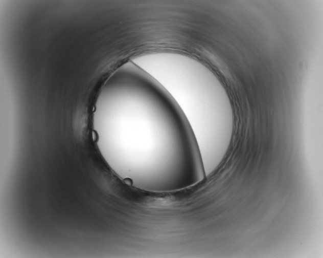 X0000099380548200805081201