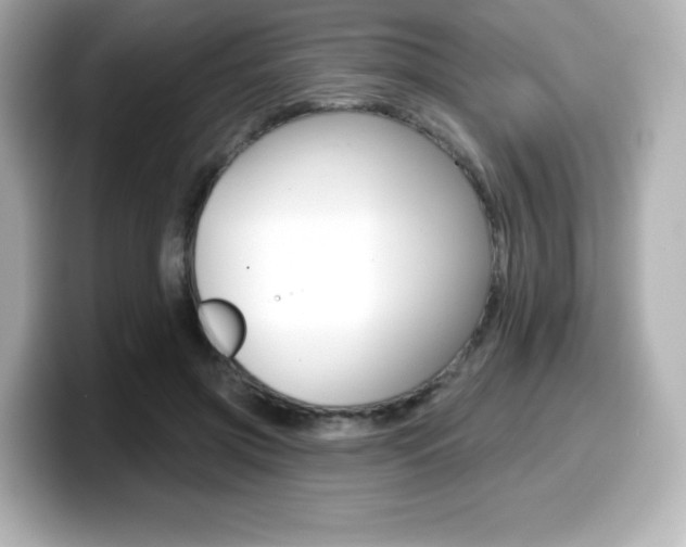 X0000099380549200805081201