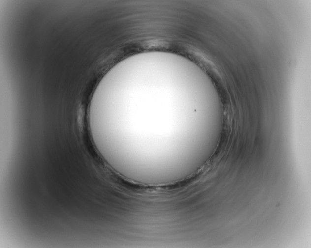 X0000099380550200805081201
