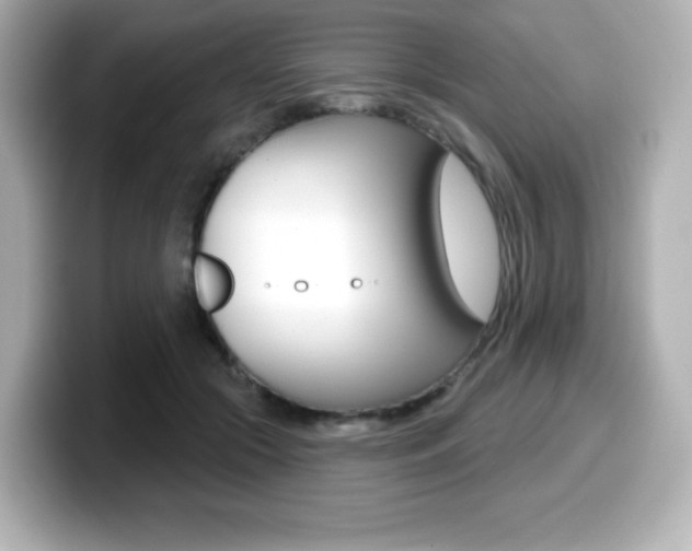 X0000099380553200805081201
