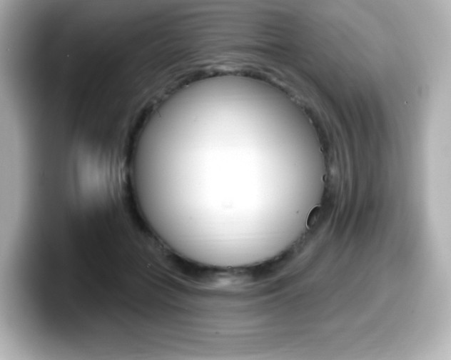 X0000099380555200805081201