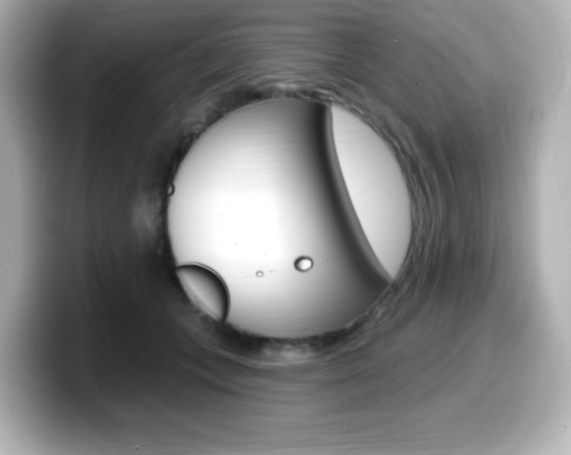 X0000099380559200805081201