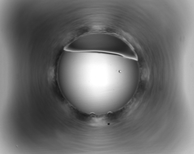 X0000099380560200805081201
