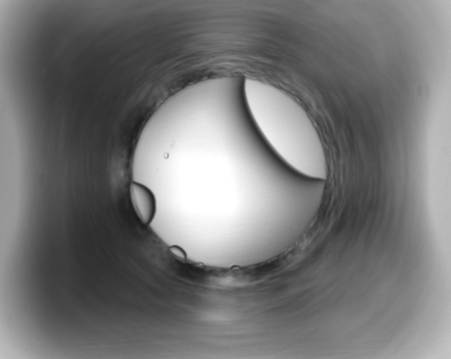 X0000099380561200805081201