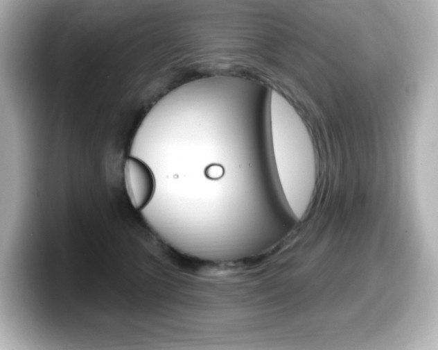 X0000099380563200805081201