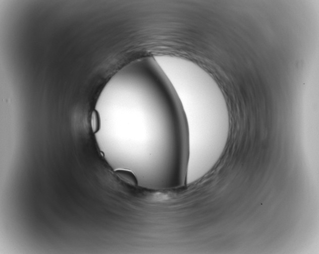 X0000099380566200805081201