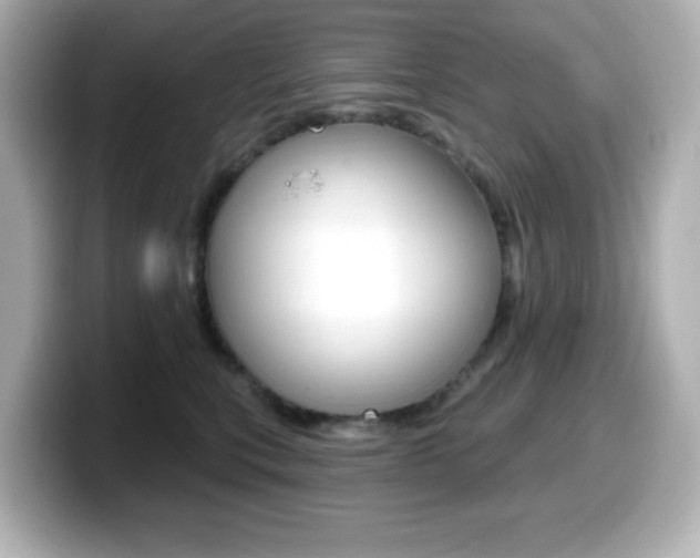 X0000099380567200805081201