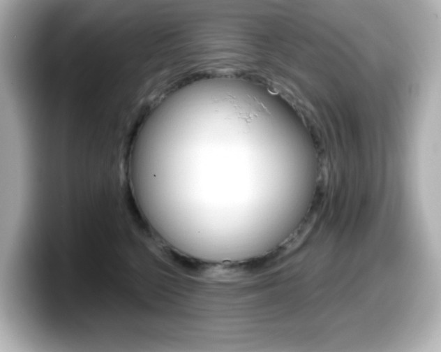X0000099380568200805081201