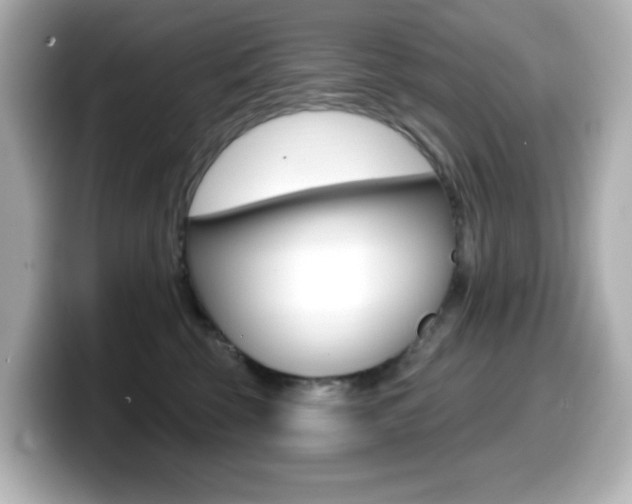 X0000099380569200805081202