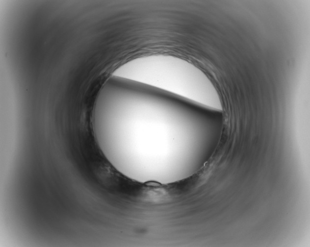 X0000099380572200805081202