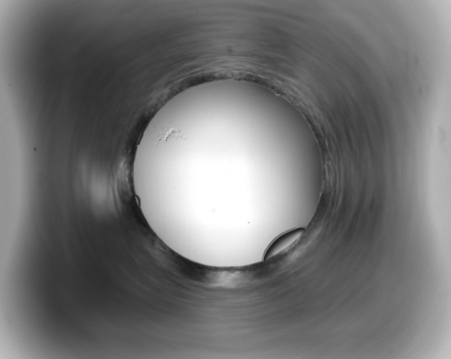 X0000099380575200805081202