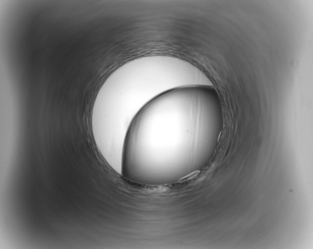 X0000099380576200805081202