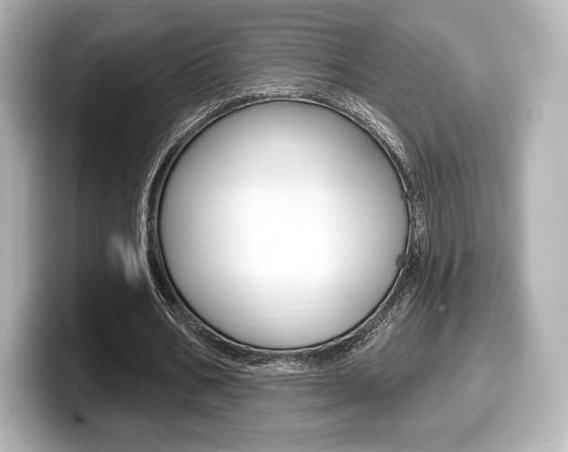 X0000099380578200805081201