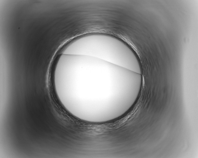 X0000099380579200805081201