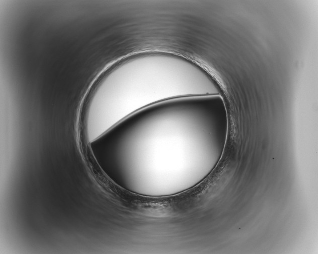 X0000099380580200805081201
