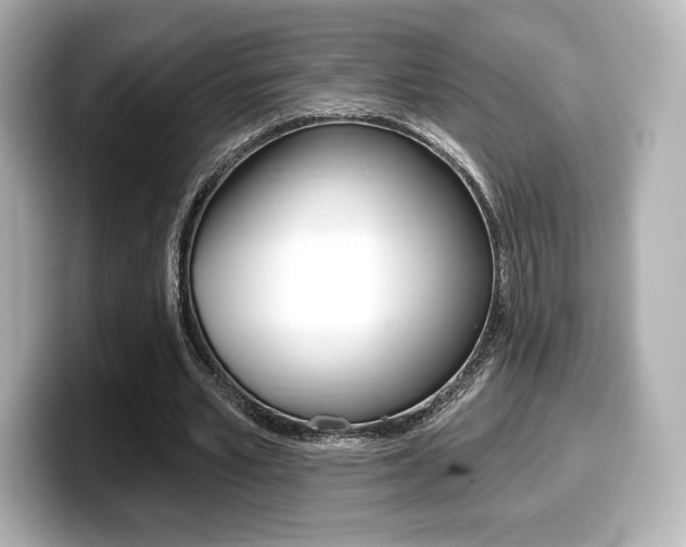 X0000099380581200805081201