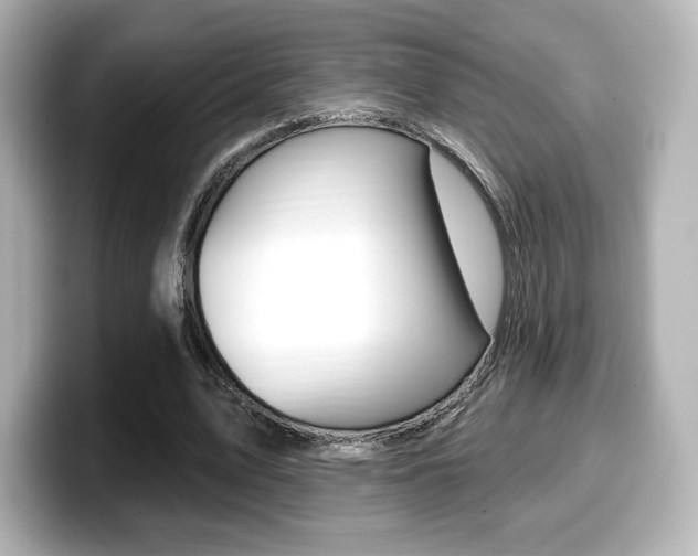 X0000099380583200805081201