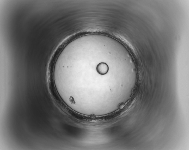 X0000099380584200805081201