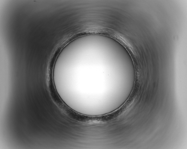 X0000099380586200805081201